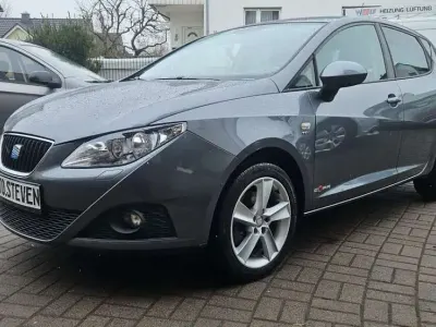Gebraucht Seat Ibiza Copa 105 PS (77 kW) 2012 "pirineos" grau Kleinwagen