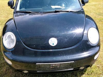 VW Beetle