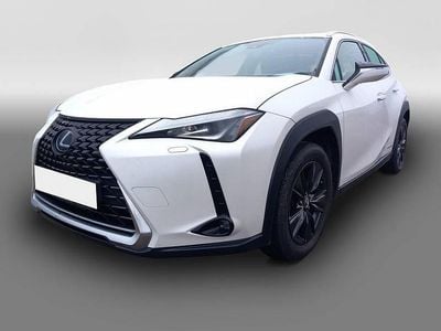 Gebraucht Lexus UX Launch Edition 184 PS (135 kW) 2019 Weiß SUV