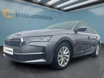 Grau Gebraucht 2025 Skoda Octavia Kombi | 29.099 € (Fairer Preis)