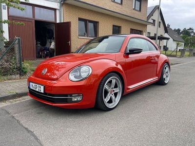 gebraucht VW Beetle 1,2tsi DSG Club