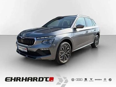 Gebraucht Skoda Kamiq Tour 150 PS (110 kW) 2025 Grau SUV