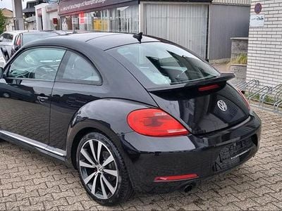 VW Beetle