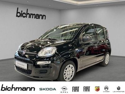 Nouă Fiat Panda Icon 69 CP (50 kW) 2026 Negru Hatchback