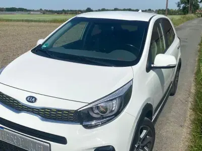 Gebraucht Kia Picanto X-Line 84 PS (61 kW) 2019 Weiß Kleinwagen