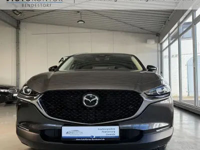 Gebraucht Mazda CX-30 Homura-Line 140 PS (102 kW) 2025 Grau SUV