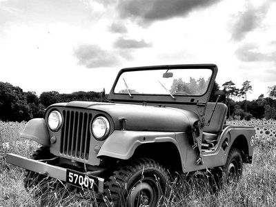 Occasion Jeep Willys 69 ch (50 kW) 1969 Vert SUV