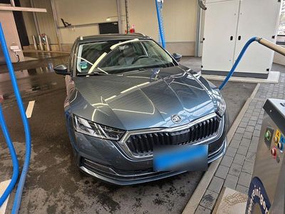 Gebraucht Skoda Octavia Style 204 PS (150 kW) 2021 Grau Kombi
