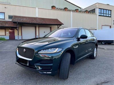 gebraucht Jaguar F-Pace Pure AWD 1.Rentnerhand nur 34400KM