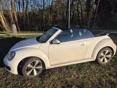 VW Beetle