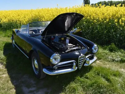 Second-hand Alfa Romeo Giulia Spider 110 CP (80 kW) 1964 Negru Cabrio