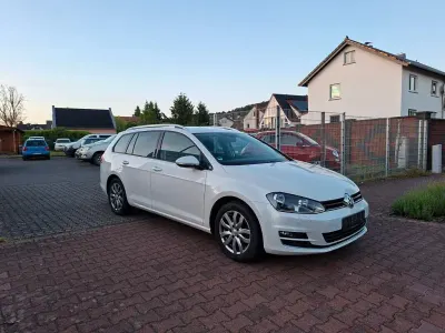 Gebraucht VW Golf VII Allstar 150 PS (110 kW) 2016 Weiß Kombi