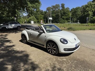 VW Beetle