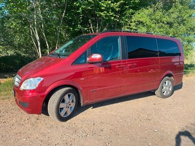Mercedes Viano