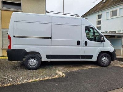 Gebraucht Opel Movano Edition 165 PS (121 kW) 2024 Casablancaweiß Van