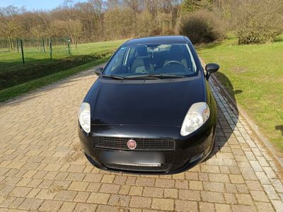 gebraucht Fiat Punto 