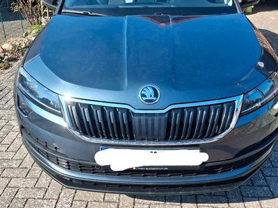 Gebraucht Skoda Karoq 150 PS (110 kW) 2019 Grau SUV