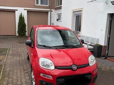 Gebraucht Fiat Panda 69 PS (50 kW) 2018 Rot Kleinwagen