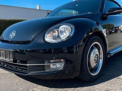 VW Beetle