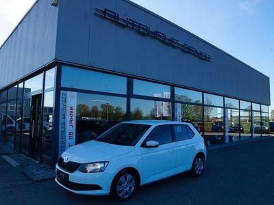 Second-hand Skoda Fabia 90 CP (66 kW) 2015 Alb Berlinǎ