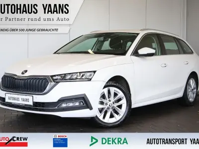 Gebraucht Skoda Octavia Style 150 PS (110 kW) 2022 Weiß Limousine