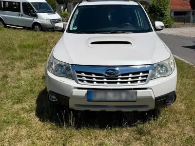 Gebraucht Subaru Forester