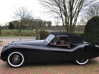 gebraucht Jaguar XK 120 DHC