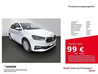 Gebraucht Skoda Fabia Selection 116 PS (85 kW) 2024 Moonweiß perleffekt Kleinwagen