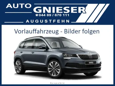 Neu Skoda Karoq Selection 150 PS (110 kW) 2026 Grau SUV