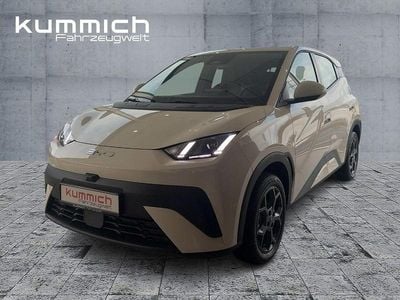 Neu BYD Dolphin Surf Boost 64 kW (88 PS) 2025 Weiß Kleinwagen