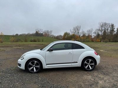 VW Beetle
