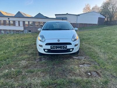 Gebraucht Fiat Punto Lounge 77 PS (56 kW) 2015 Weiß Kleinwagen