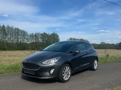 Gebraucht Ford Fiesta Titanium 101 PS (74 kW) 2017 Grau Kleinwagen