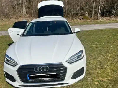 Gebraucht Audi A5 Sportback 190 PS (139 kW) 2019 Weiß Kleinwagen