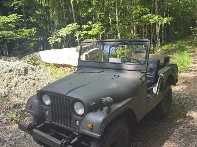 Gebraucht Jeep Willys 72 PS (52 kW) 1952 Braun SUV