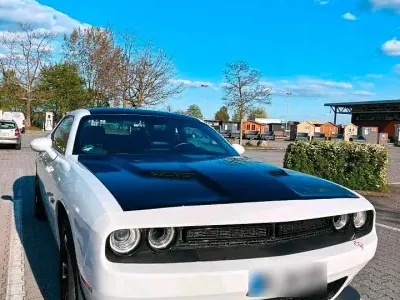 Gebraucht Dodge Challenger 309 PS (227 kW) 2015 Weiß Coupé