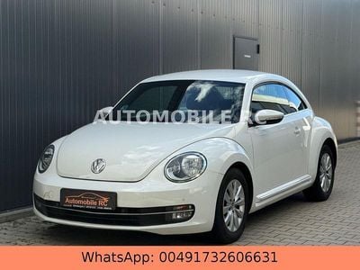 VW Beetle