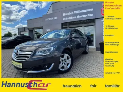 Gebraucht Opel Insignia Business Edition 170 PS (125 kW) 2014 Plat.anthr./rogrey/0j:silberg Limousine