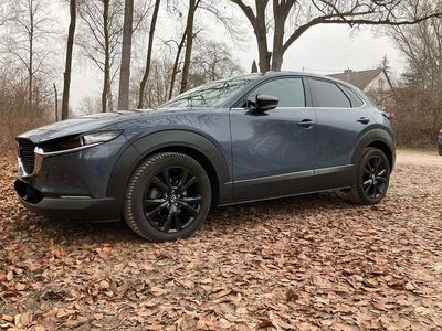 Usata Mazda CX-30 Homura-Line 186 CV (136 kW) 2025 Grigio SUV