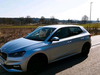 Gebraucht Skoda Fabia Tour 95 PS (69 kW) 2022 Silber Kleinwagen