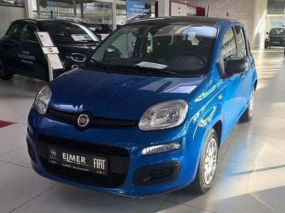 Nouă Fiat Panda Icon 65 CP (47 kW) 2026 Albastru Hatchback