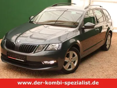 Gebraucht Skoda Octavia 116 PS (85 kW) 2020 Grau Kombi