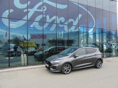Gebraucht Ford Fiesta ST-Line X 125 PS (91 kW) 2023 Grau Kleinwagen