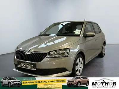 Gebraucht Skoda Fabia Cool Plus 75 PS (55 kW) 2019 Kleinwagen