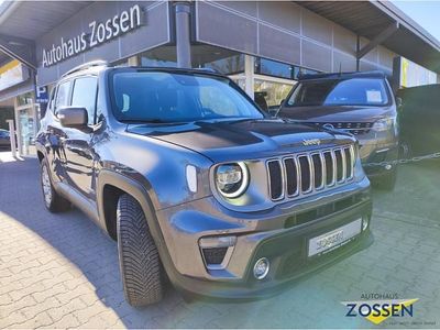 Gebraucht Jeep Renegade Limited 120 PS (88 kW) 2019 Grau SUV