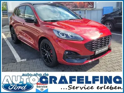 Gebraucht Ford Kuga ST-Line X 150 PS (110 kW) 2024 Rot SUV