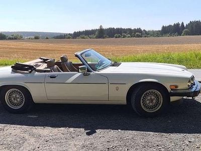 Gebraucht Jaguar XJS 275 PS (202 kW) 1989 Cabrio