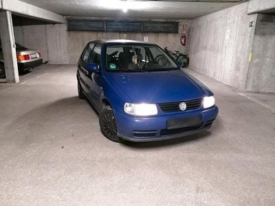VW Polo