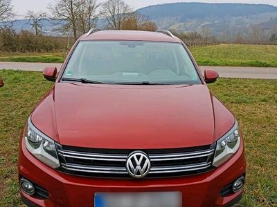 gebraucht VW Tiguan 2.0 TDI DSG 4MOTION Trend & Fun Trend...