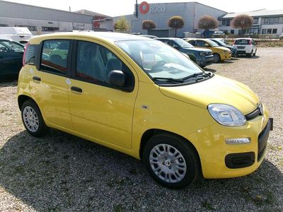Ny Fiat Panda Icon 69 HK (50 kW) 2025 Gul Hatchback